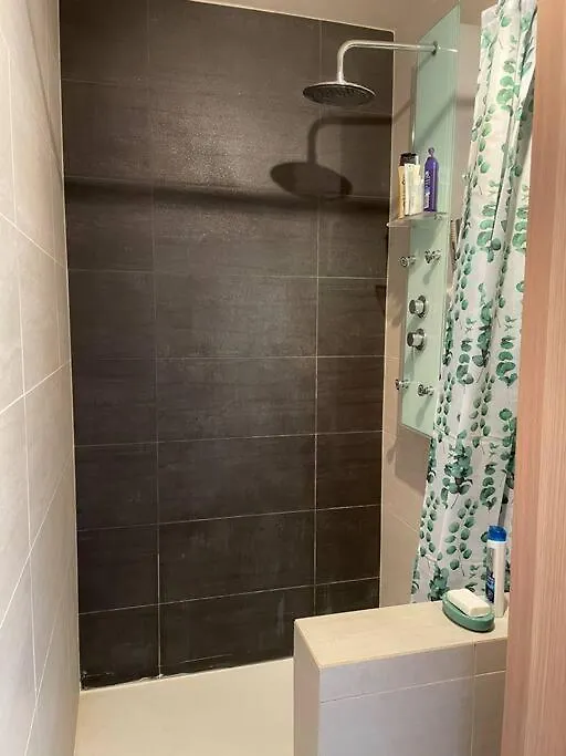 Apartment Appartement A 150M Du Lac- Plage De L'Imperial Annecy